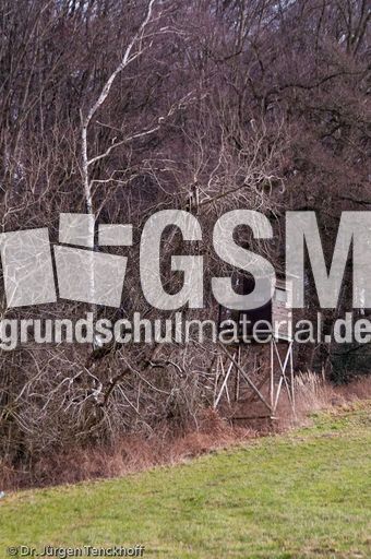 Hochstände (114 von 154).jpg